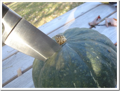 October 22, 2010 017