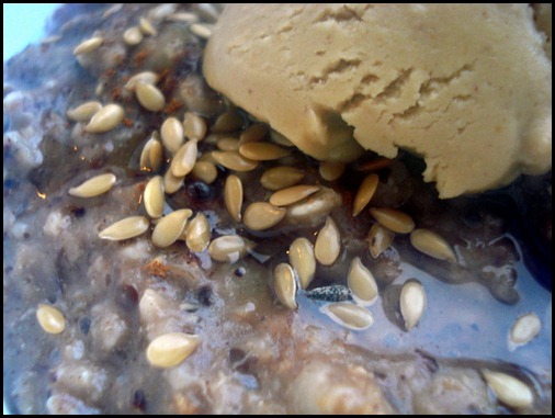 December 5, 2010 007