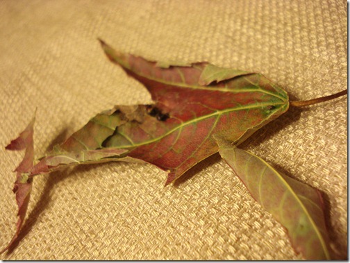 September 28, 2010 007