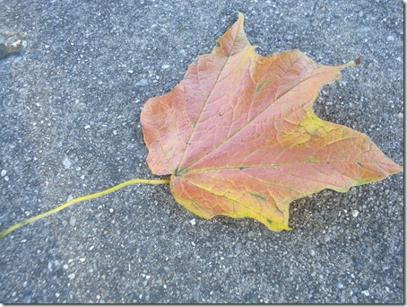 September 30, 2010 018