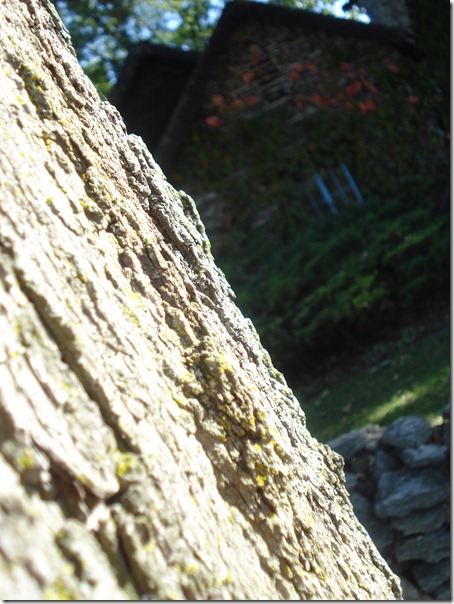 September 30, 2010 021 (4)