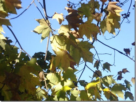 September 30, 2010 024