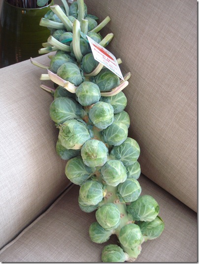 October 16, 2010 020