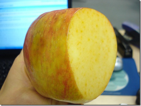 October 19, 2010 009