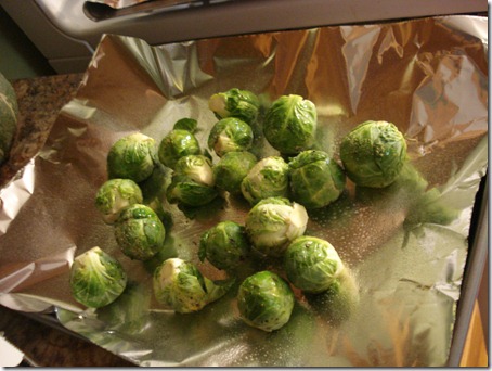 October 19, 2010 016