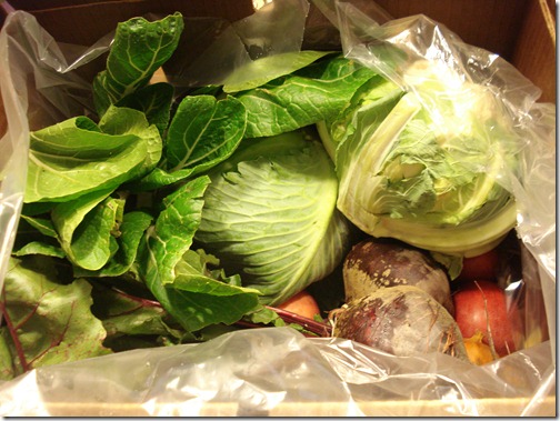 November 11, 2010 009