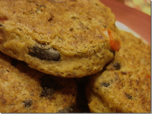 November 11, 2010 012