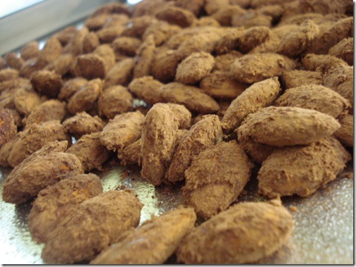 November 2, 2010 039