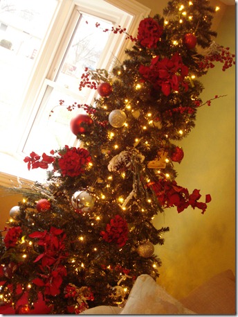 November 27, 2010 025