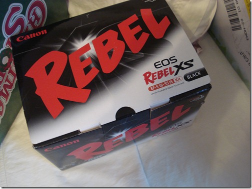 November 27, 2010 030