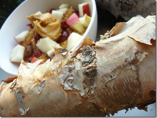 November 27, 2010 031