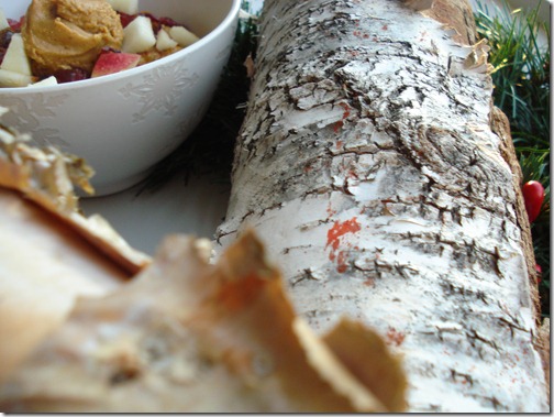 November 27, 2010 032