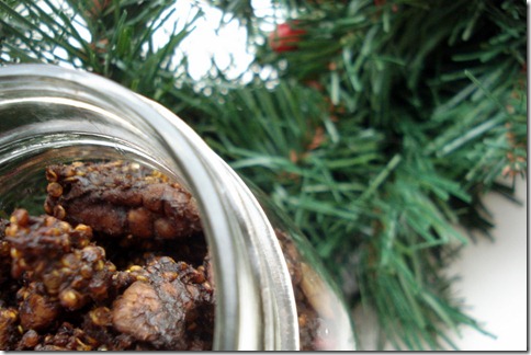 December 11, 2010 033