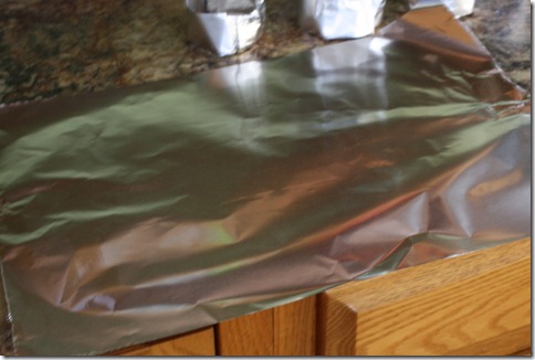 December 28, 2010 050