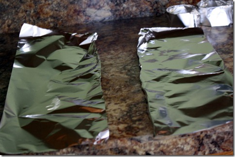 December 28, 2010 051