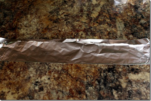 December 28, 2010 052