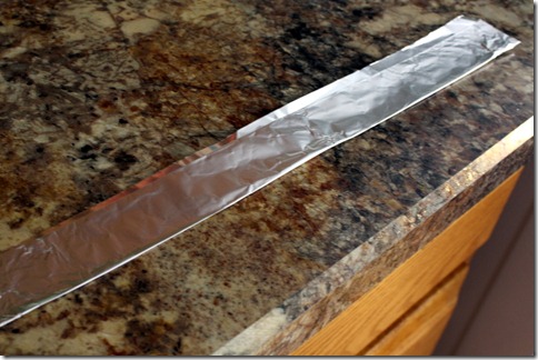 December 28, 2010 053