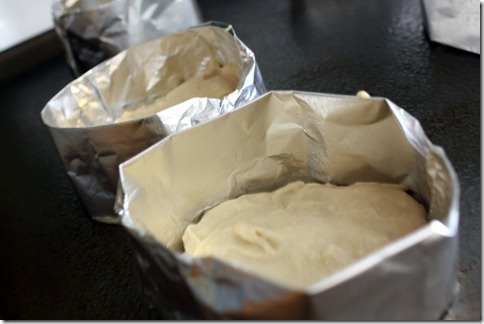 December 28, 2010 068