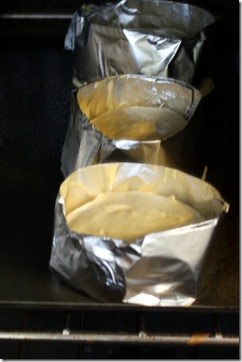 December 28, 2010 069