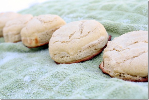 December 28, 2010 096