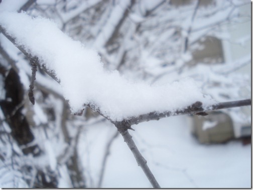 December 4, 2010 026