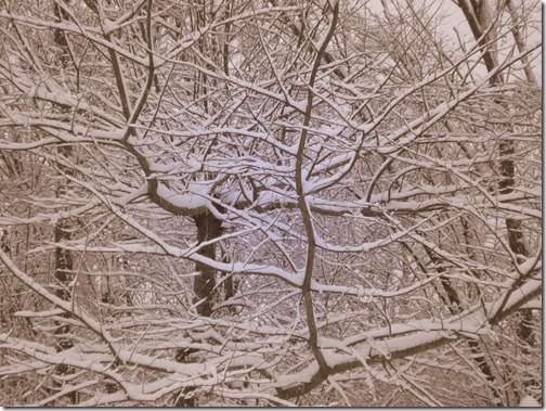 December 4, 2010 028