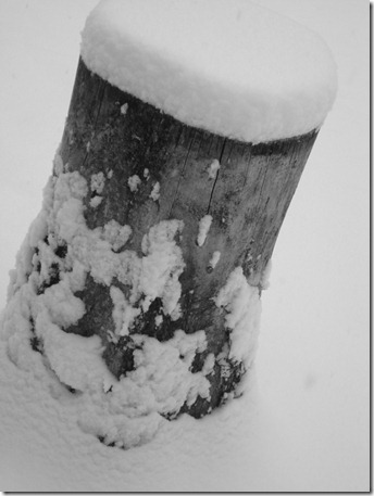 December 4, 2010 030