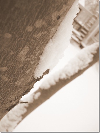 December 4, 2010 034