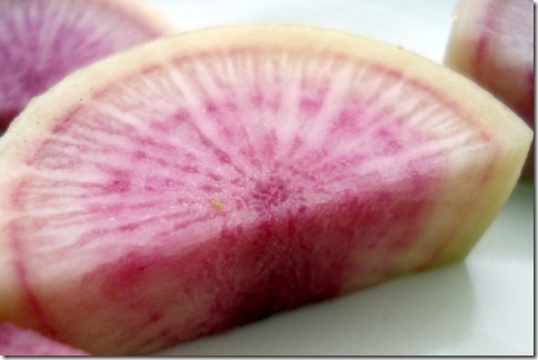 December 11, 2010 037