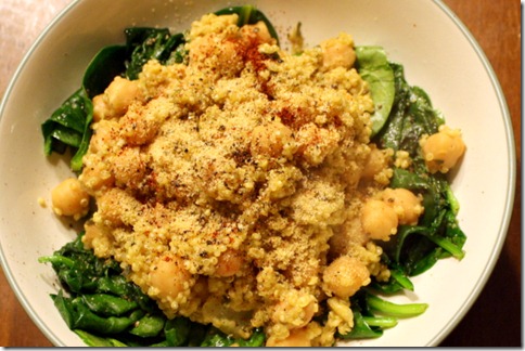 December 30, 2010 021