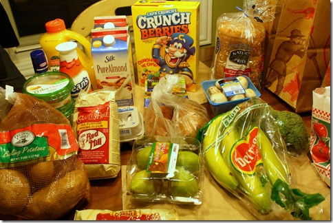 January 31, 2011 005