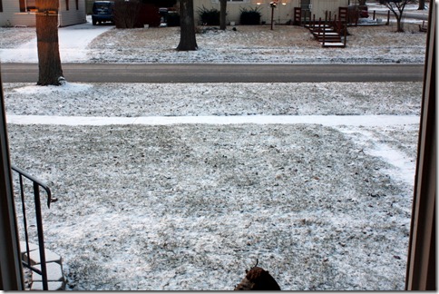 January 8, 2011 023