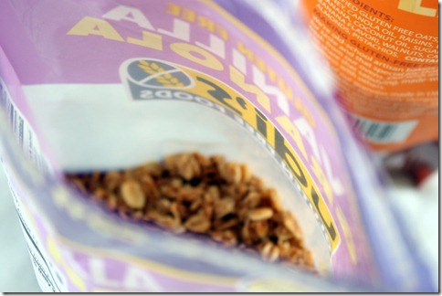 udi's gluten free granola (10)