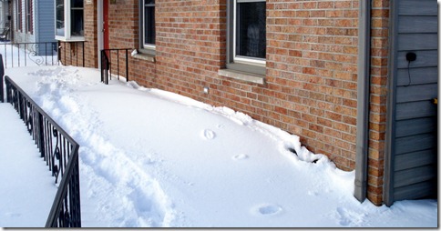 Blizzard 2011 (2)
