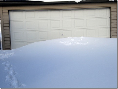 Blizzard 2011