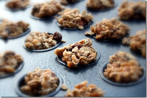 February 19, 2011 006