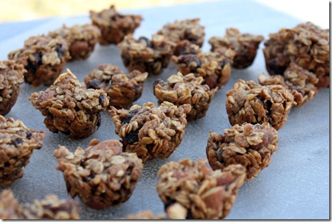 February 19, 2011 013