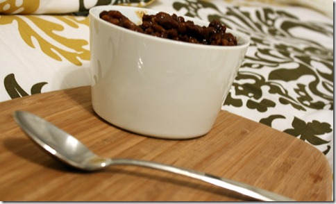 February 23, 2011 025