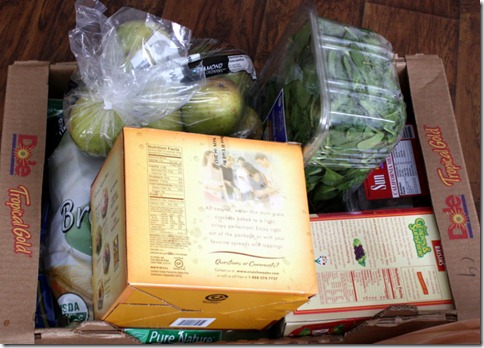 February 27, 2011 007