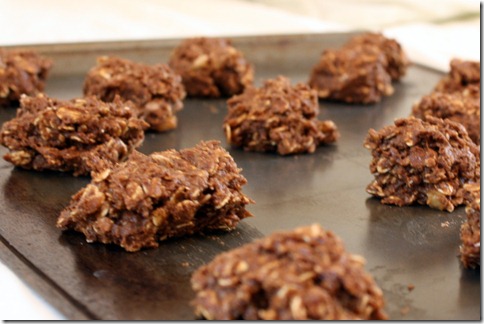 February 3, 2011 014