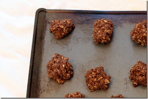 February 3, 2011 018-1