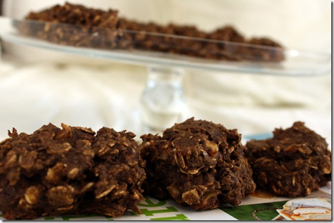 February 3, 2011 033