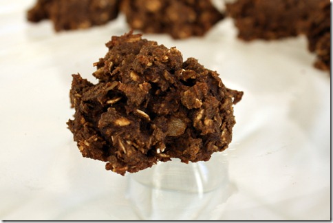 February 3, 2011 037