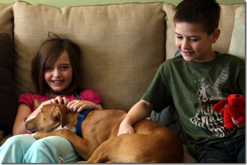 February 3, 2011 043