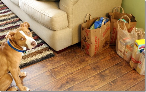 February 6, 2011 004