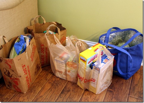 February 6, 2011 005