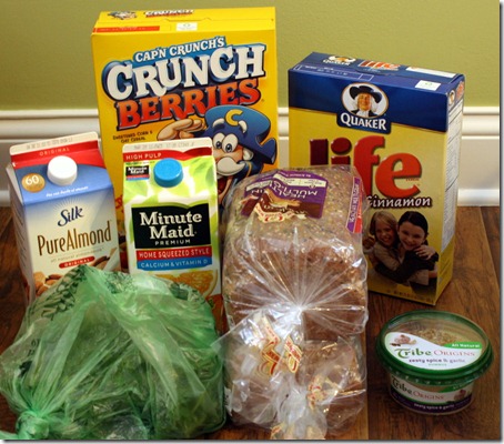 February 6, 2011 009