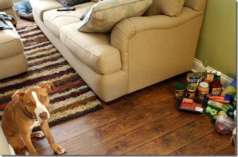 February 6, 2011 019