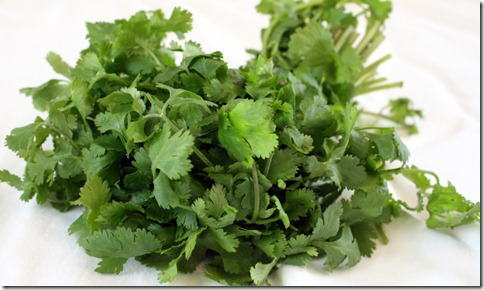 February 7, 2011 003