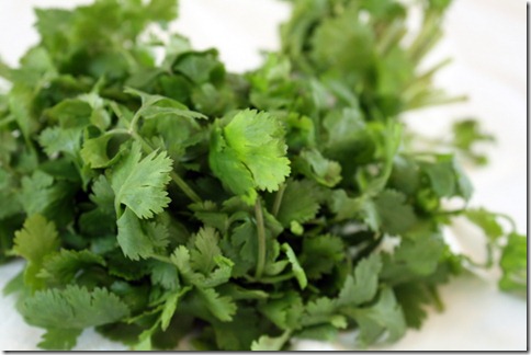 February 7, 2011 004